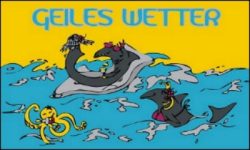 Flag Weather cool weather