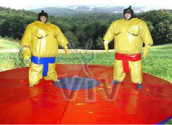 Sumo Wrestling