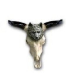 Wilk na martwej czaszce K336