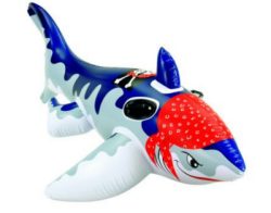 Shark pirate Mount 180cm
