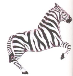Folienballon Zebra