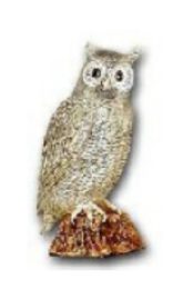 Owl K427