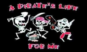 Flag Pirate A Pirates Life