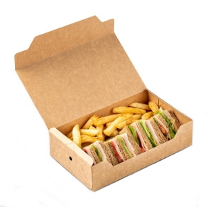 Snack box green line plastic-free 22x13x5.5cm, 100 pieces