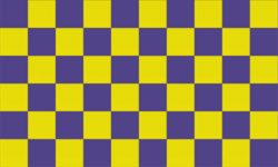 Flag Checkered purple yellow