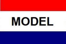 Flag Model