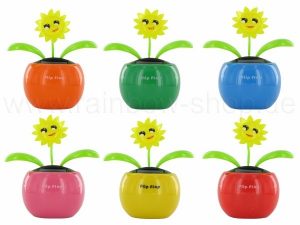 Solar flower Sun color mix sorted