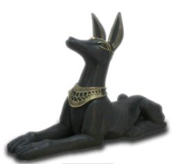 Szakal czarno zloty 83 cm