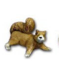Squirrel K566