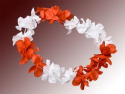 Hawaii chains red white