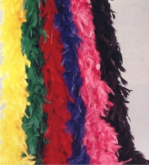 Feather boa