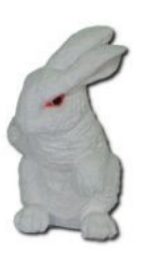 Rabbit white sitting K758