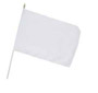 Flag at wood staff  white flag