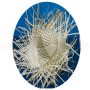 Straw hat Beach hat nature