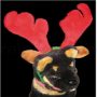 Christmas headbands for Pets