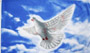 Flag Peace Dove 2