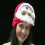 Christmas Hat Santa Claus